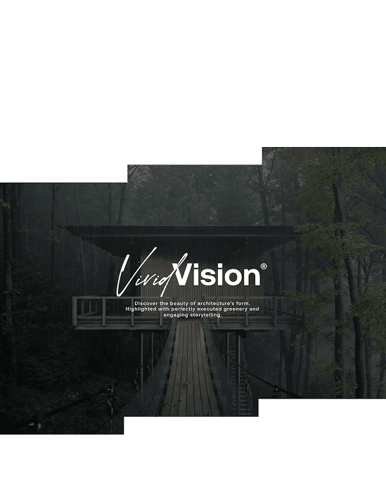 VividVision layout with the brand wordmark over the forest walkway.